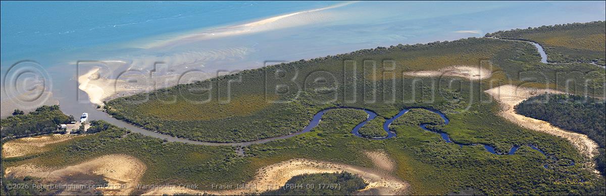 Peter Bellingham Photography Wanggoolba Creek - Fraser Island - QLD (PBH4 00 17787)